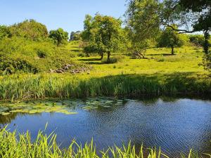 Afbeelding uit fotogalerij van Orchard View B&B in Whitminster