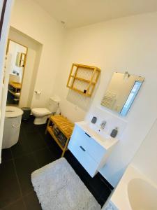 La salle de bains est pourvue d'un lavabo, de toilettes et d'un miroir. dans l'établissement Hyper-centre Lille - Appartement John 65 m2 - Parking, à Lille