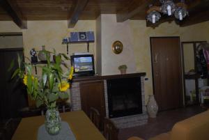 a living room with a fireplace and a television at Green House in Morano Calabro