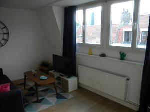sala de estar con TV y 2 ventanas en Apartment Lille - Proche métro - Stationnement gratuit, en Lille