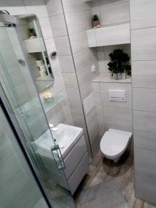 a bathroom with a toilet and a glass shower at Apartament WAGABUNDA in Wałbrzych