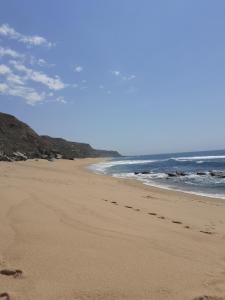 Ảnh trong thư viện ảnh của Casa das Barcas ở Lourinhã +40 ảnh