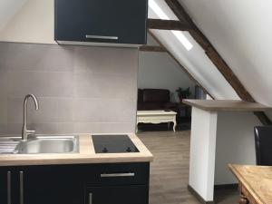 cocina con fregadero y encimera en Appartement L'Arédien, en Saint-Yrieix-la-Perche