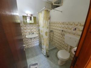 een badkamer met een toilet en een wastafel bij Dionisos Studios and Apts Skiathos in Koukounaries