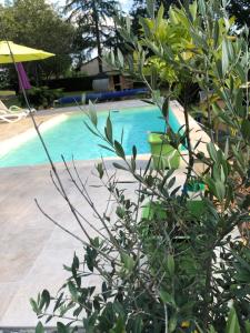 Πισίνα στο ή κοντά στο Les plantous de Severo +13 φωτογραφίες