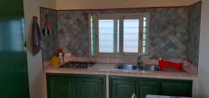 a kitchen with green cabinets and a sink and a window at La Casa Dei Delfini in Lampedusa