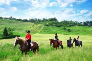 a group of people riding horses in a field at House Donačka Gora in Rogatec