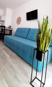 niebieską kanapę w salonie z rośliną w obiekcie Flamingo Apartments w mieście Międzyzdroje