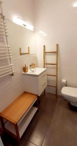 łazienka z umywalką i toaletą w obiekcie Flamingo Apartments w mieście Międzyzdroje