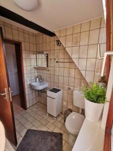 a small bathroom with a toilet and a sink at Lenzenhof anno 1720 I in Schotten