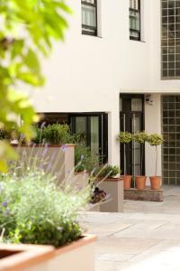 a group of potted plants in front of a building at Brooks Guesthouse Bristol in Bristol