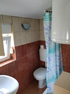 a bathroom with a toilet and a sink at Apartment Anka in Savar +16 photos