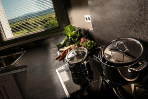 - une cuisine avec 2 casseroles et des légumes sur un comptoir dans l'établissement The View - Gite Sancy, à Montpeyroux