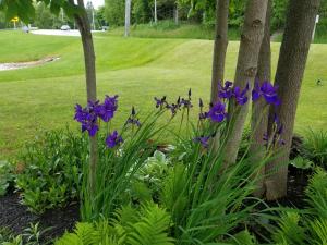 Gallery image of Square Rigger Harbor Motel in Baileys Harbor