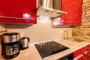 Kuchyň nebo kuchyňský kout v ubytování Apartmán POD HRADEM - Vranovská přehrada, Bítov-Horka