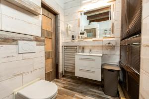 Koupelna v ubytování Apartmán POD HRADEM - Vranovská přehrada, Bítov-Horka + 17 fotografií