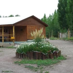 a garden with flowers in front of a cabin at Terrazas de Uspallata in Uspallata