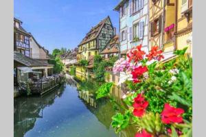 Galería fotográfica de Coeur Alsace en Colmar