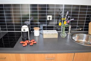 a kitchen counter with a sink and flowers and a blender at Cosy apartment in the center of Brussels in Brussels