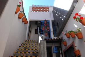 Fotografie z fotogalerie ubytování Hotel Santa Ana v destinaci San Miguel de Allende + 65 fotografií