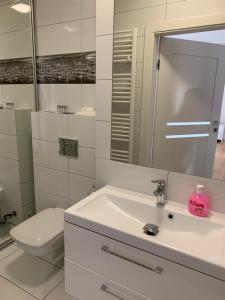 Kúpeľňa v ubytovaní Apartamenty Centrum nad Motławą z widokiem na patio z balkonem + 11 fotografií