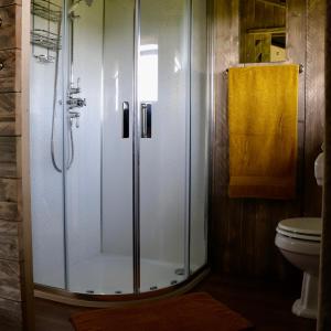 a bathroom with a shower and a toilet at Brackenhill Glamping - Safari Tent with Hot Tub in Ivybridge +30 photos