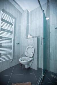 a bathroom with a toilet and a glass shower at Vila Todorović in Bela Crkva