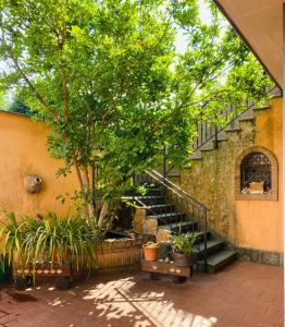una escalera en un edificio con un árbol y plantas en VILLA MARIPOSA, en Nettuno