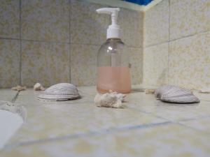 a bathroom counter with a bottle of soap and some shells at La Casa del Abuelo in San Miguel de Allende