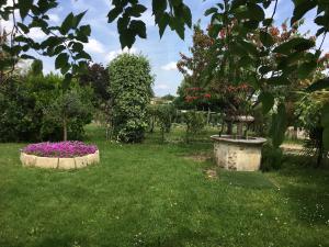 Zahrada ubytování Gites face rivière Saint-Emilion