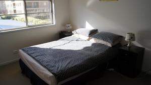 Gallery image of Location Plus Dowling in Canberra