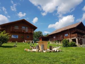 Vườn quanh Cabana vultur2 strada popeni