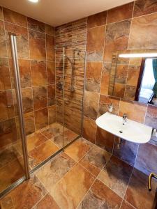 ein Bad mit einem Waschbecken und einer Dusche in der Unterkunft Hradná stráž Hotel&Apartments s privátnym wellness in Topoľčianky