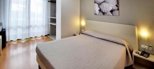 Hotel Carol