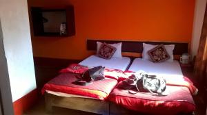 a bedroom with two twin beds with red and orange walls at Mystic resort amidst Tea Garden in Mādāri Hāt