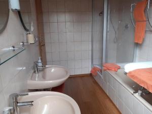 un bagno con lavandino, wc e doccia di Mattheishof a Grafenau