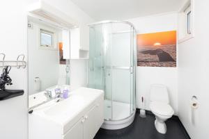 a bathroom with a shower and a sink and a toilet at Apt 102 - Andenes Whale Safari Apartments in Andenes