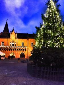 a large christmas tree in front of a building at deinFerienhaus Scheliga „Midi“ in Bad Sobernheim