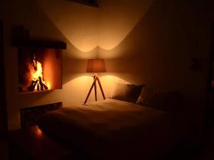 a bedroom with a bed and a fire place at Alpaca Inn in Montagu