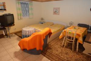 a bedroom with a bed and a table and a television at Ferienwohnungen Kuhbandner in Marktschorgast