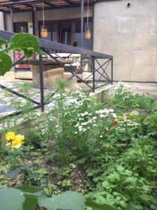 Gallery image of Guesthouse Gera in Mestia