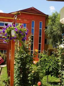 Taman di luar Casa Paloma