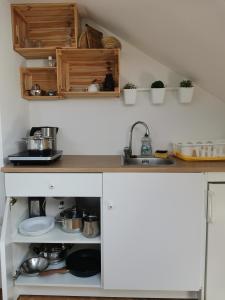 eine Küche mit einer Theke mit Töpfen und Pfannen in der Unterkunft Apartma med vinogradi in Lendava