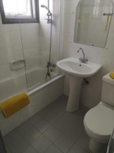 La salle de bains est pourvue d'un lavabo, de toilettes et d'une douche. dans l'établissement Sea View Aparment, à Klorakas