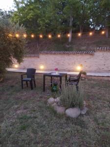 A garden outside Casa Sofia
