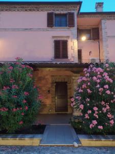 A garden outside Casa Sofia