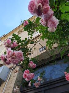 a bunch of pink roses on the side of a building at Chez Anne in Fécamp