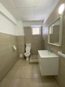 a bathroom with a white toilet and a sink at Pensiunea Ambasador in Băile Herculane