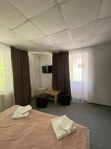 Billede fra billedgalleriet på Pensiunea Ambasador i Băile Herculane + 11 billeder