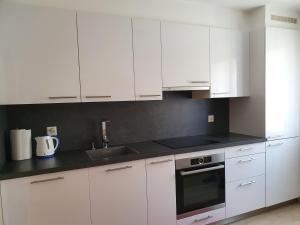 Kuchyň nebo kuchyňský kout v ubytování Appartement Cime l'Est